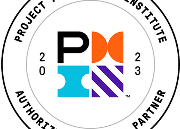 Employment of Consultants at PMU's Project Management Unit in Lahore